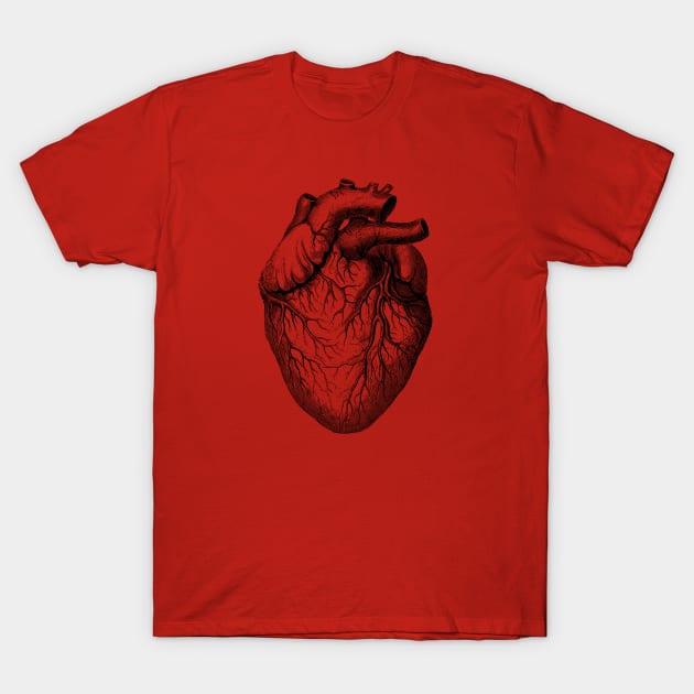 Human Heart - Vintage Medical Diagram T-Shirt by Vintage Anatomy Prints